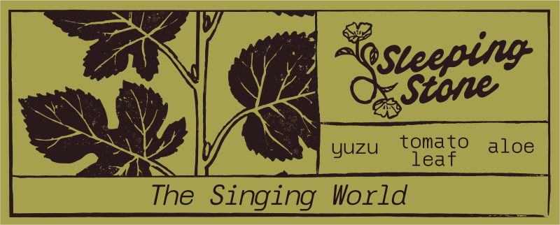 The Singing World